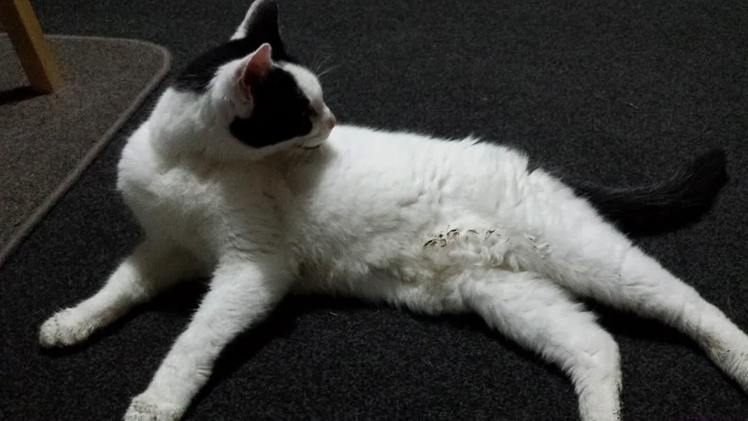 D18 marshall is back at 3am 18 april 2018 (3)